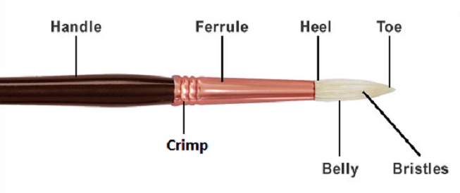 Anatomy of The Artist Paintbrush