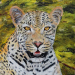 Africa wildlife leopard painting