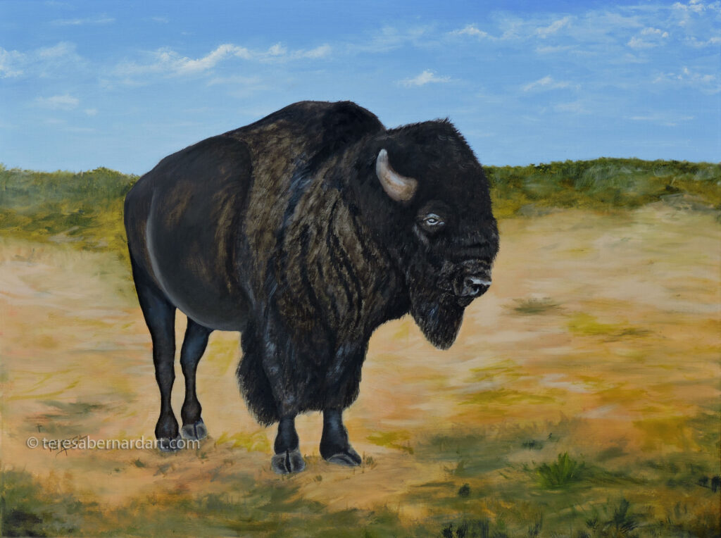 American Bison painting