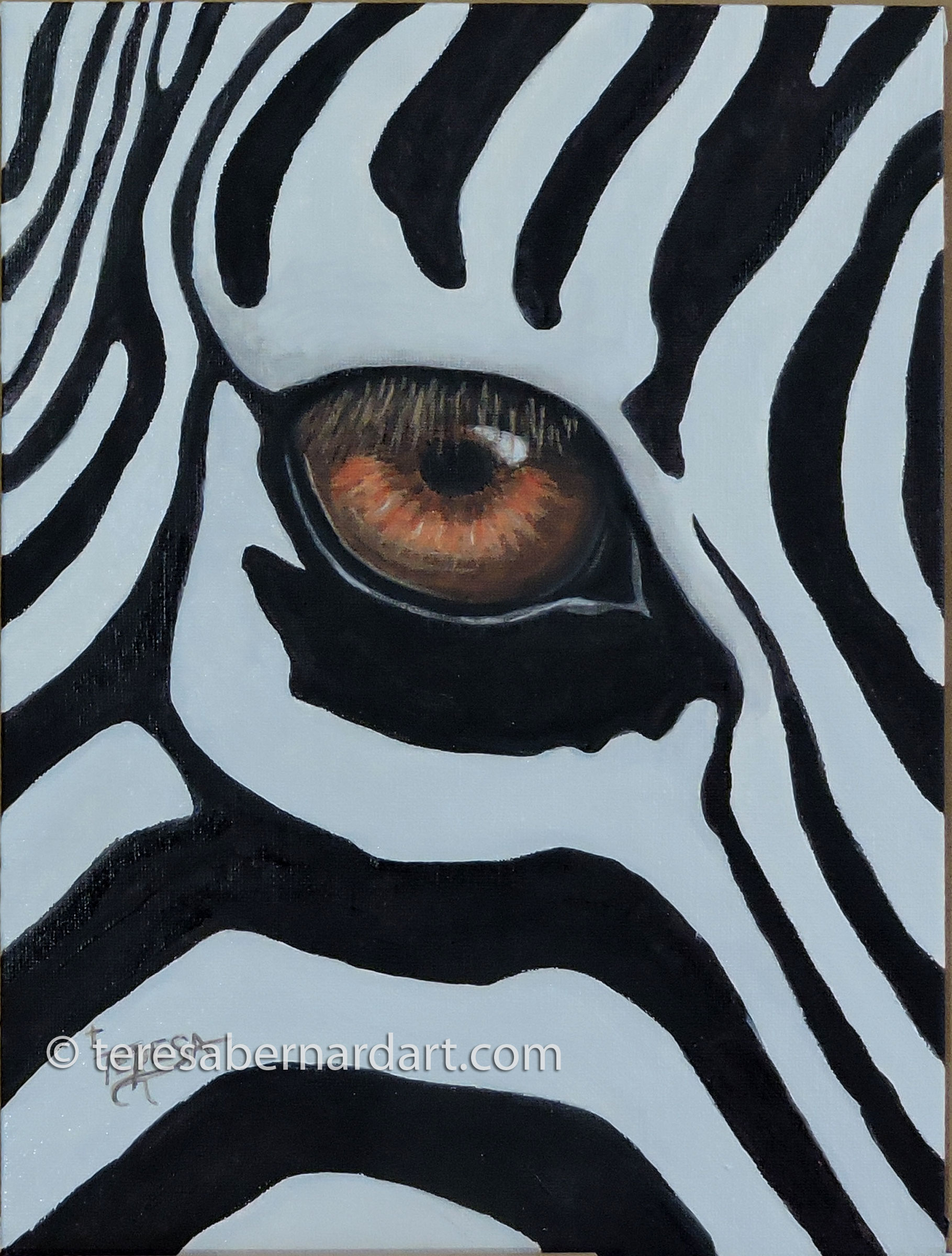 Private Collection 'Zebra Love' Beautiful Animal Oil Painting on Canvas 