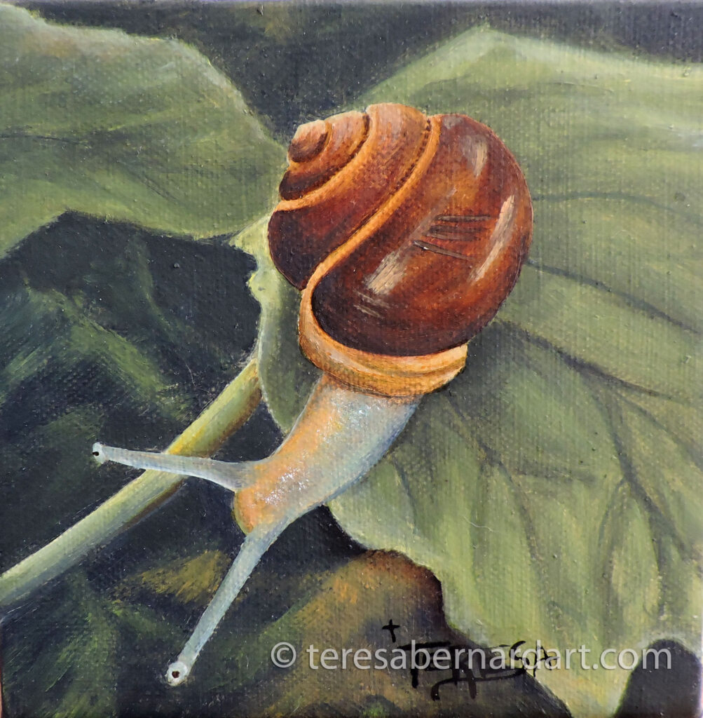 land Snail painting 4