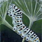 Papilio Machaon Caterpillar painting