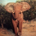 African elephant artwork