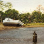 boat fenders painting