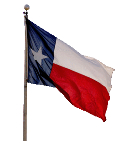 Flag of Texas