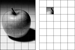 grid drawing method