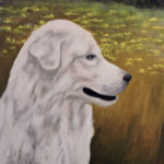 companion pet portraits 