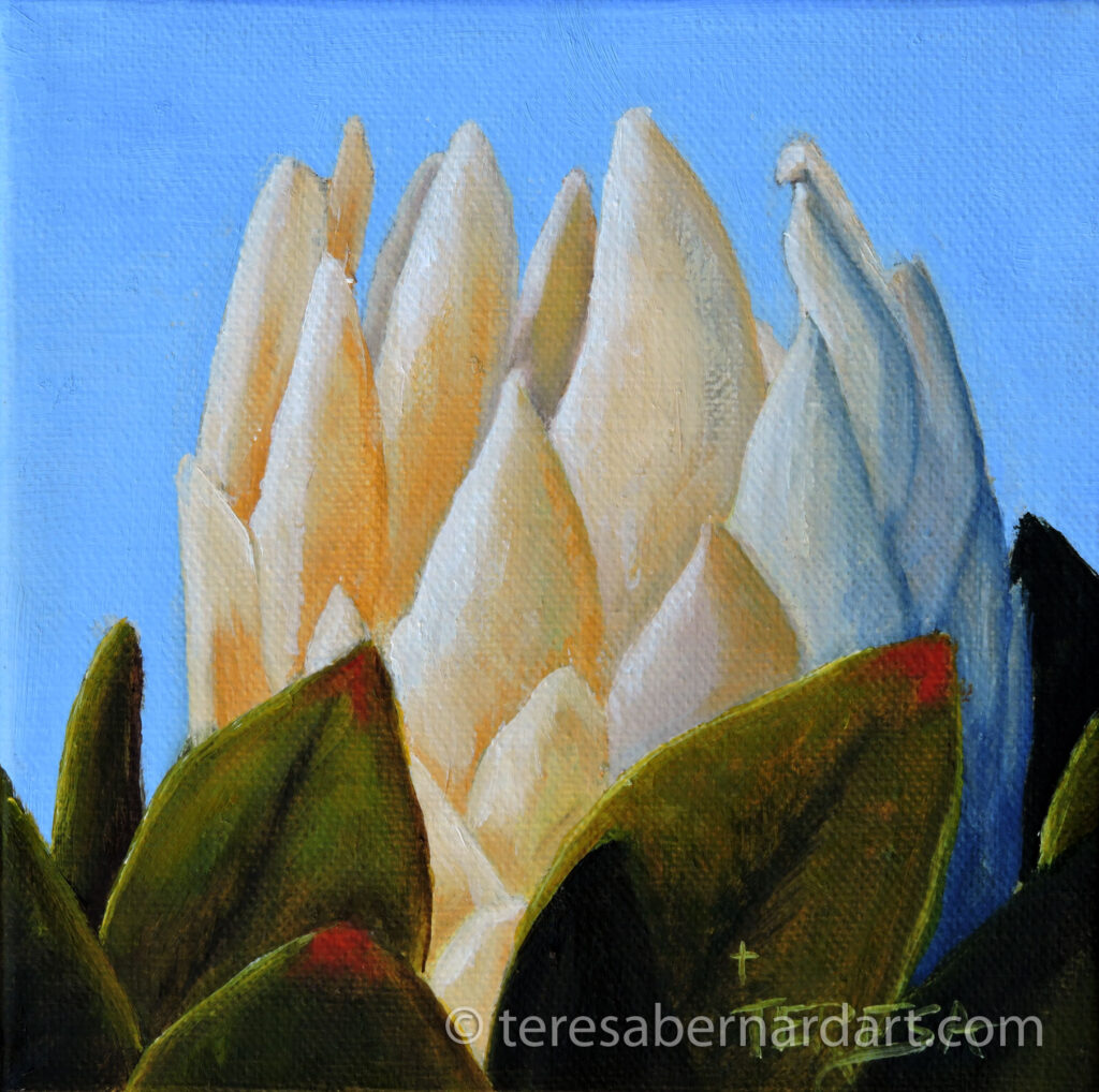 painting of protea