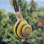 land snail painting no 2