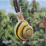 land snail painting