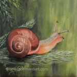 common snail painting