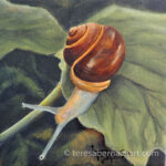 common snail painting 