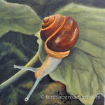 common snail painting