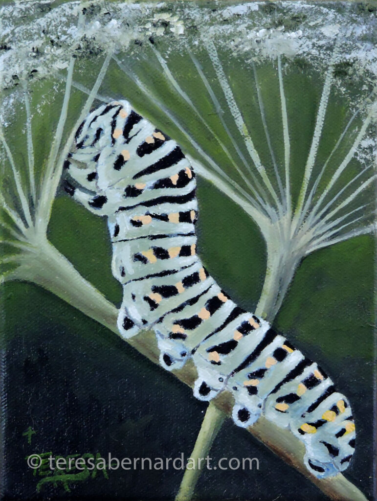 swallowtail caterpillar painting