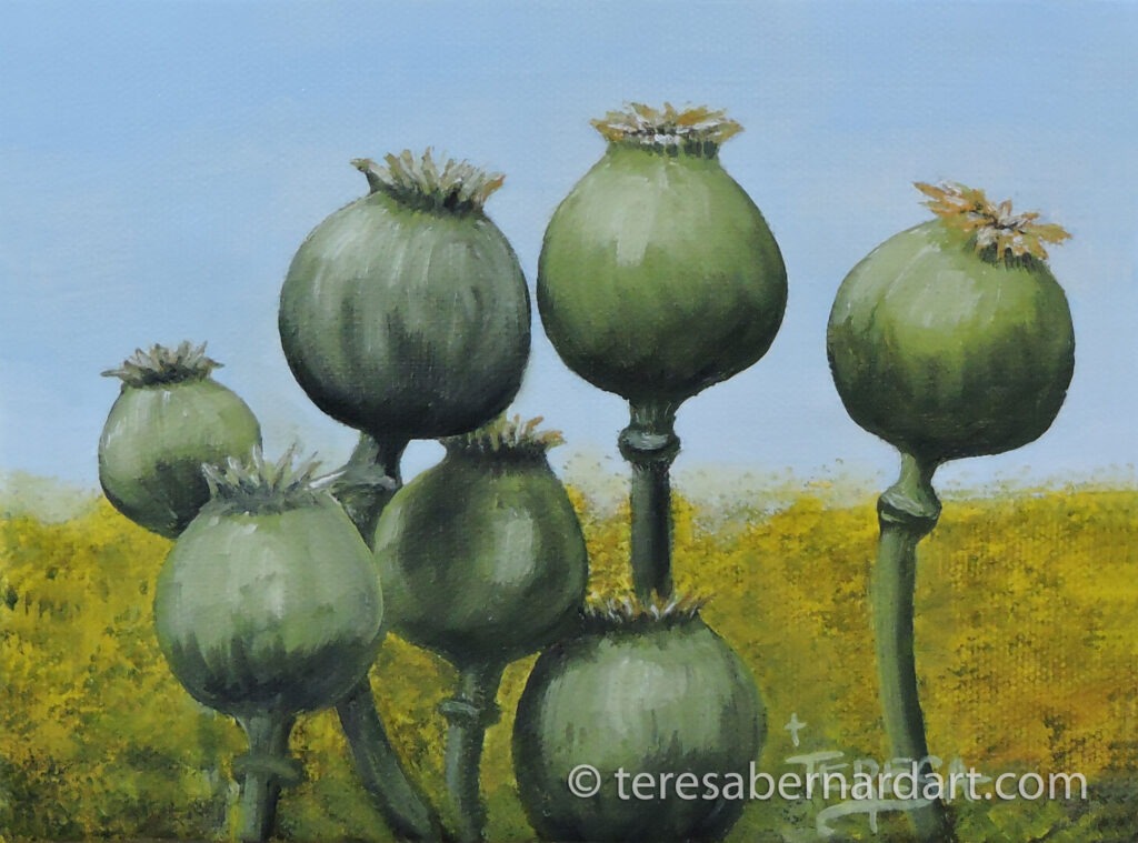 poppy pods painting