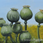small poppy pods painting