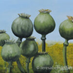 poppy pods painting