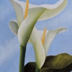 cala lily painting