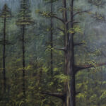 pine trees forest painting