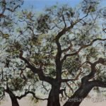 buy shade tree painting